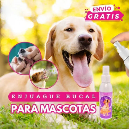 HAPPY PETS ENJUEGUE BUCAL MASCOTAS